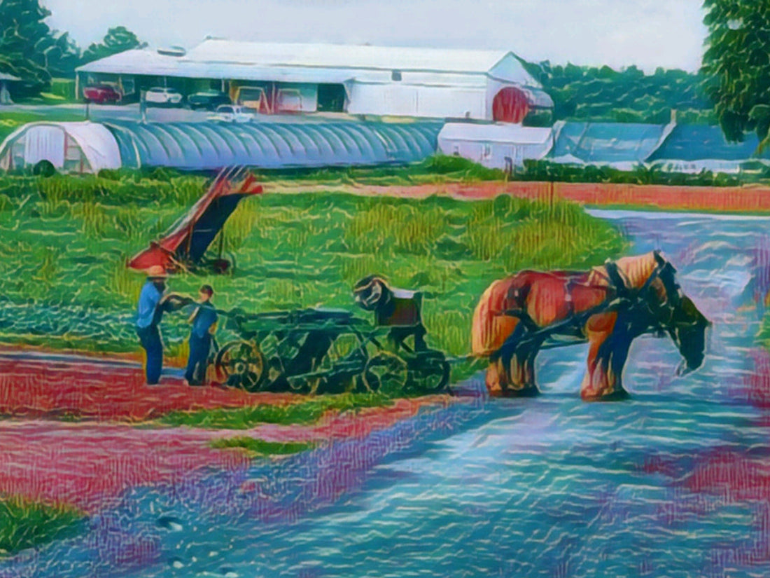 Sustainably & Responsibly Grown