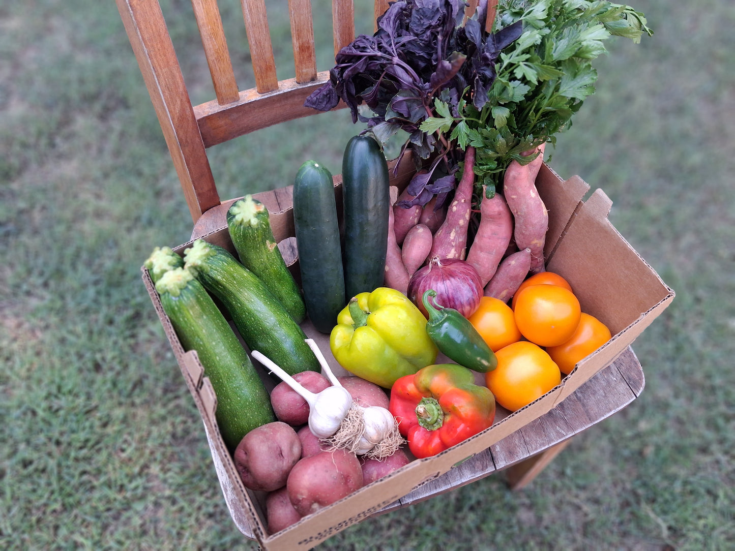 The Value Veggie Box for Four: **Veggies Only - No Fruit**