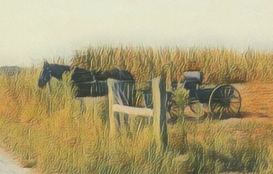 2025: All Good Things Must Come to an End