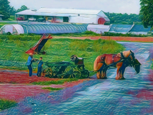 Sustainably & Responsibly Grown