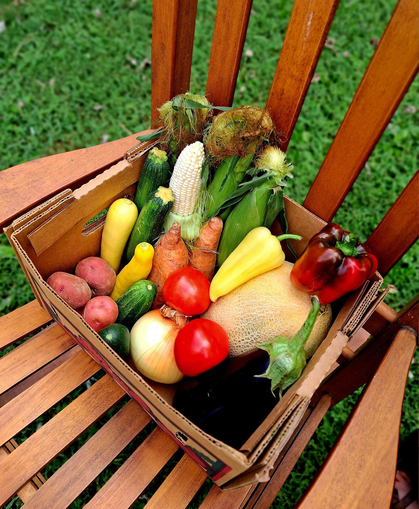 The Weekly Harvest Produce Box: Nourishment for Four!