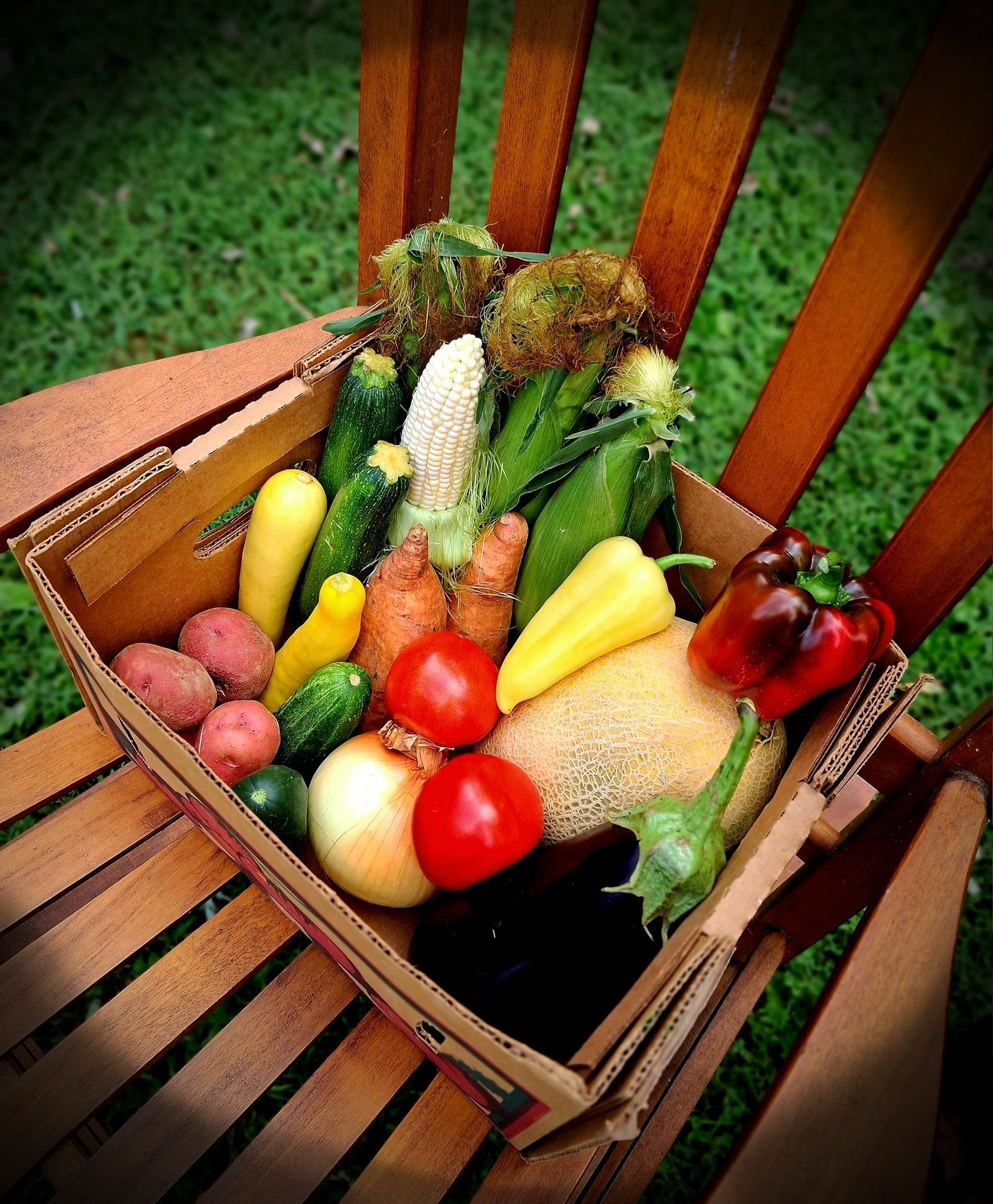 The Weekly Harvest Produce Box: Nourishment for Four!