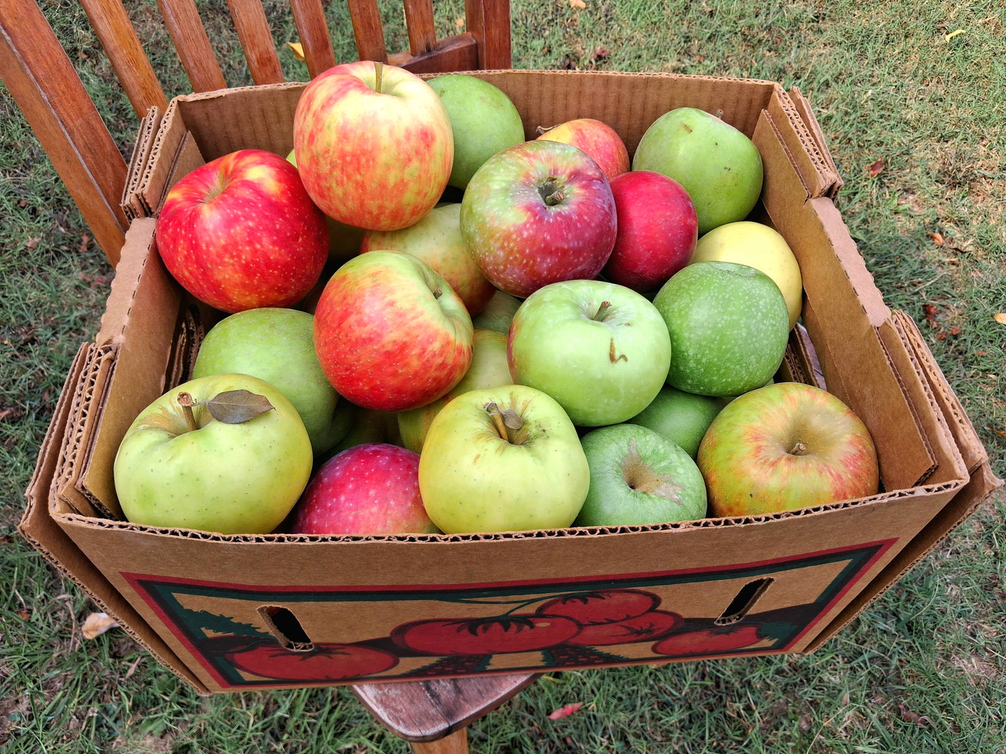 The Big Apple Box - Sweet Mix